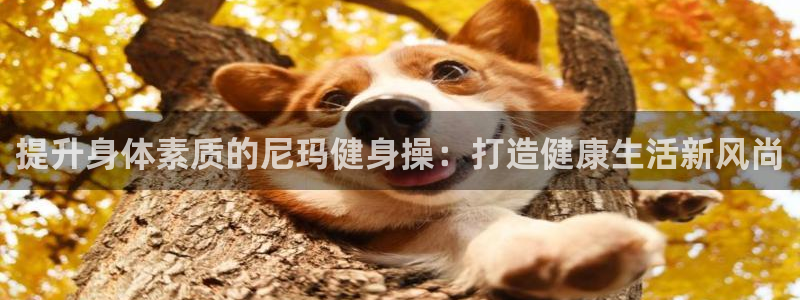 意昂2官网