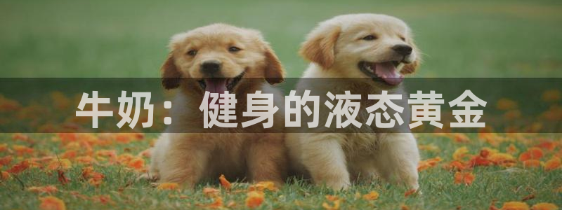 意昂2官方平台