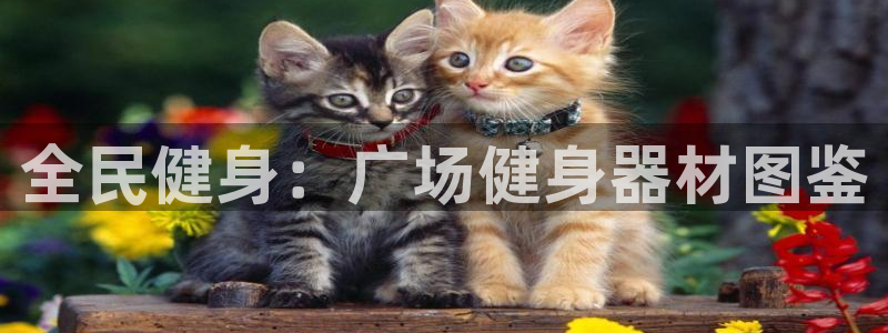 意昂2注册
