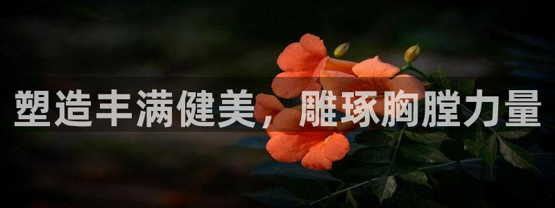 意昂2登录