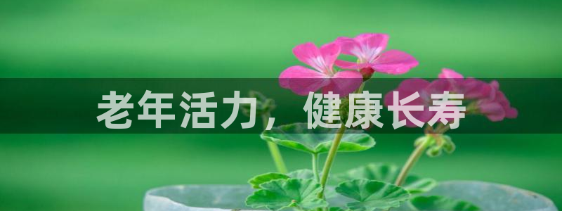 意昂2登录