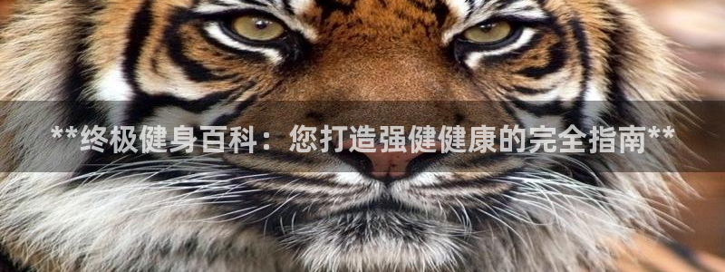 意昂2招商