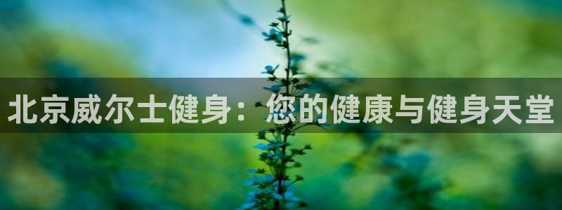 意昂2代理