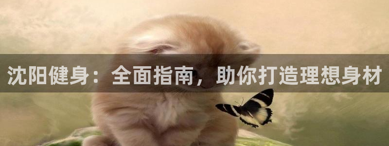 意昂2官方网站