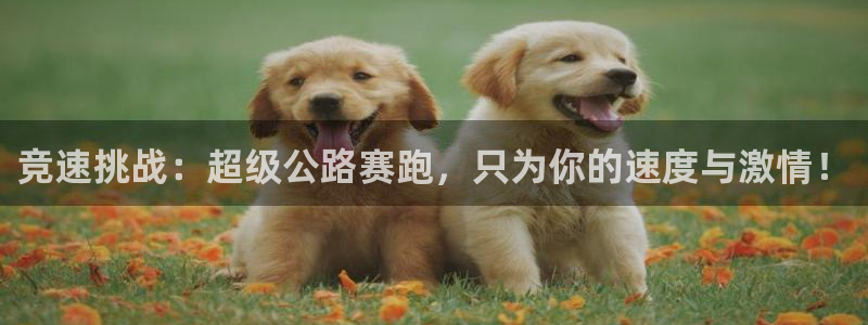 球王会体育：竞速挑战：超级公路赛跑，只为你的速度与激情！