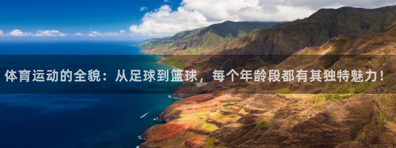 球王会体育：体育运动的全貌：从足球到篮球，每个年龄段都有其独特魅力！
