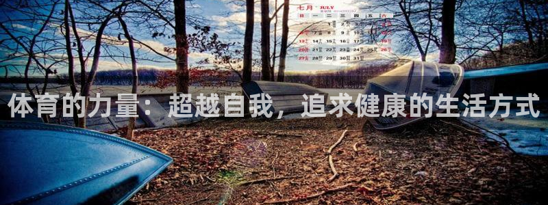 球王会体育：体育的力量：超越自我，追求健康的生活方式