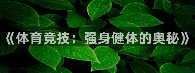 球王会体育：《体育竞技：强身健体的奥秘》
